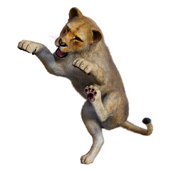 3D Rendering Female Lion on White