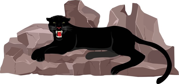Black panther lying on the stones, vector illustration