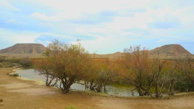 Barcenas reales,Navarra