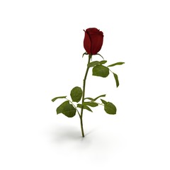 red rose isolated on white. 3D illustration