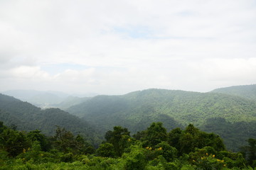 Fototapeta premium The nature of view point at Khao Yai national park in Thailand