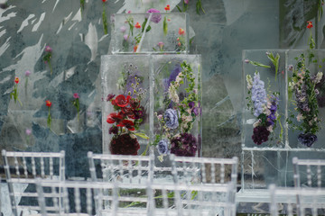 Ice cubes with violet flowers inside  stand before transparent plastic chairs ready for wedding ceremony