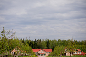 Green trees hide houses with red roofs