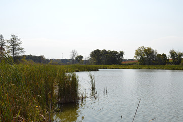 Shoreline at the lake during autumn