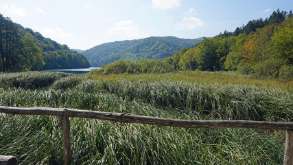 Fototapeta premium amazing landscape at the plitvice lakes in croatia