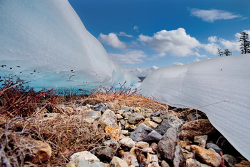 The summer ice of the Far East