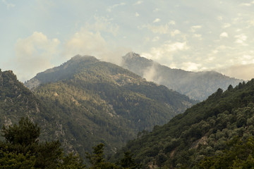 Naklejka premium Green idyllic mountain landscape at sunset with warm yellow light in Corsica