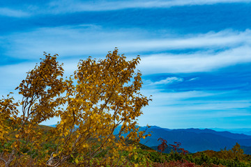 Obraz premium 秋の乗鞍