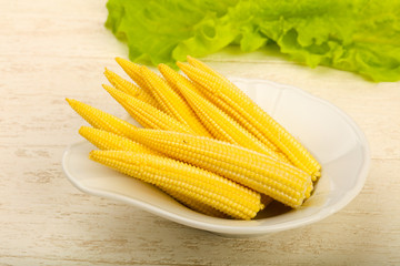 Young baby corn