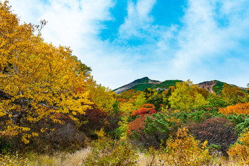 Fototapeta premium 秋の乗鞍