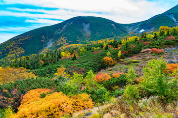 北アルプスの色づき