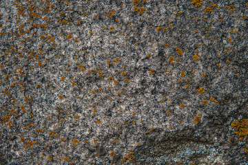 Stone texture. Pattern texture of nature. Seamless stone texture