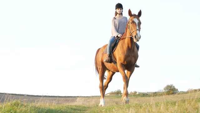 Young woman riding a horse in the countryside. Equestrian sport