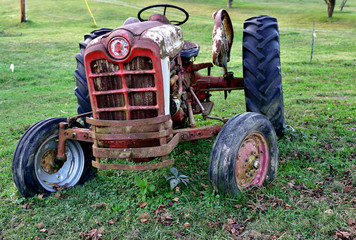 Obraz premium The Old Workhorse