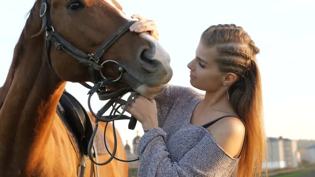 Young woman take care of her horse