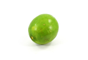 Whole fresh organic Persian lime fruit