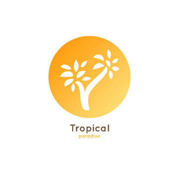 Logo tropical palm