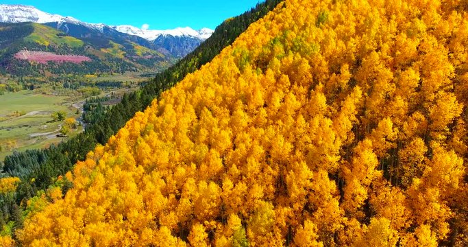 Yellow Fall Foliage With Maroon Bells Mountains In Background - Approaching Aerial Shot - Colorado, USA