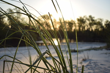 Naturaleza íntima