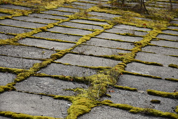 Lost Places, Vergessene Orte, Spind, Werkstätte, Tisch, Akten, Stuhl, Gitter, Zeit, aufgelassen,...