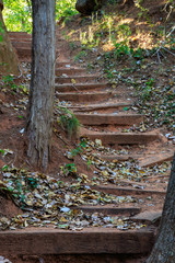 Rustic Stairway in the Forest