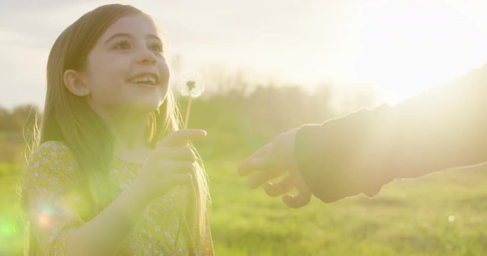 Young Girl Blows Dandelion Wish and Smile Sunset Close Up. a close up of someone handing a little girl a dandelion flower and she makes a wish and blows during sunset

