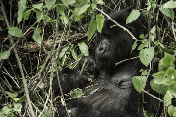  I feel safe with Mom