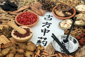 Herbs used in chinese herbal medicine with moxa sticks used in alternative moxibustion therapy. Calligraphy script translates as traditional ancient chinese medicine.