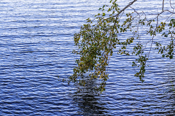 Clear water leaning over a node with the Lapp