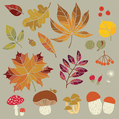 Autumn background handmade pattern with black and white stylized leaves, fruits, berries and mushrooms