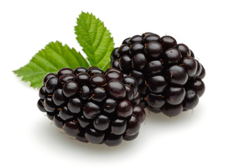 Blackberry