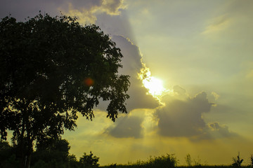 Fototapeta na wymiar Beautiful nature sunset.