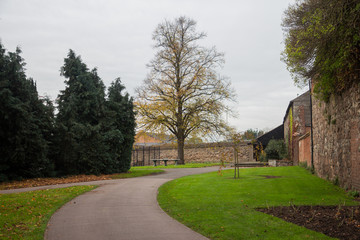 Autumn time in a park with lush foliage