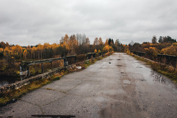 Abandoned road bridge