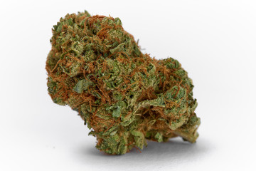 Close up of prescription medical marijuana flower Space Cowboy hybrid strain sativa dominant 