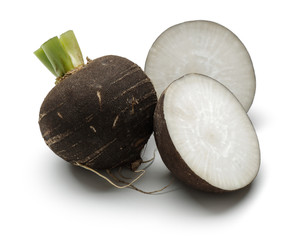 Black radish