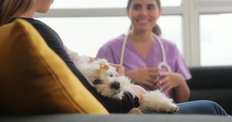 Veterinary House Call With Doctor Dog Owner And Pet