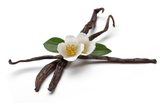 Vanilla sticks with jasmine flower