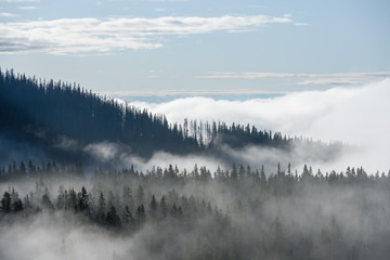 Nebel bedeckte Berge mit Wäldern