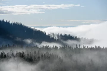 Selbstklebende Fototapete Wald im Nebel Nebel bedeckte Berge mit Wäldern