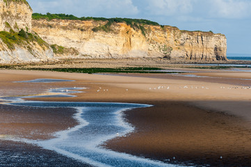 Cliffs on Omaha beach near Vierville-sur-Mer on a summer morning - obrazy, fototapety, plakaty
