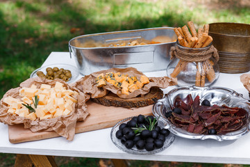 Salty and cheese bar of several kinds of cheese, grapes, olives and snacks decorated on vintage wooden table. Wedding or other holiday party outdoors