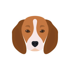 Lovely head bearded dog Beagle. Vector illustration.
