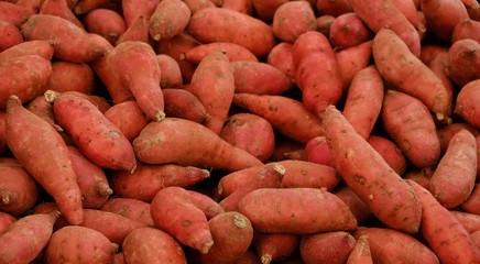 sweet potatoes / vegetable market