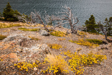 Obraz na płótnie Canvas Windswept shoreline of St Mary Lake in Glacier National Park