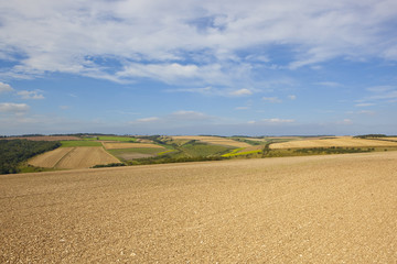 chalky soil and scenery