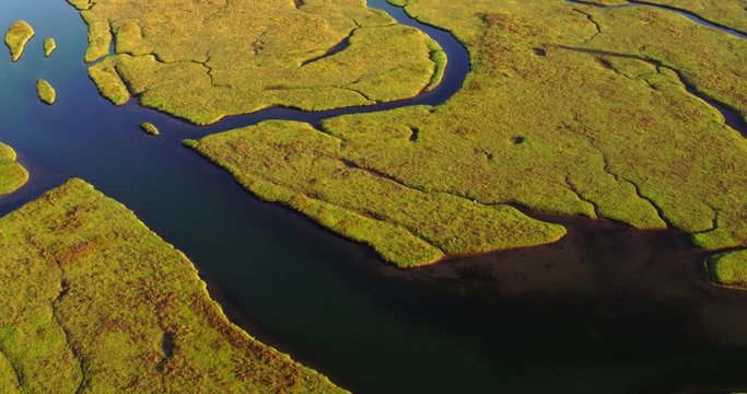 Aerial Birds Eye View Of Green Wetlands at Sunset 