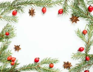 Fototapeta na wymiar Christmas decorations on a white background, berries rose hips, stars, fir branches. copy space