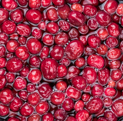 Preserved Cranberries (selective focus; detailed close-up shot)