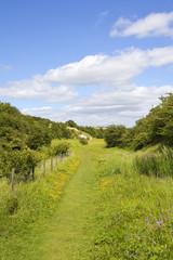 yorkshire nature reserve